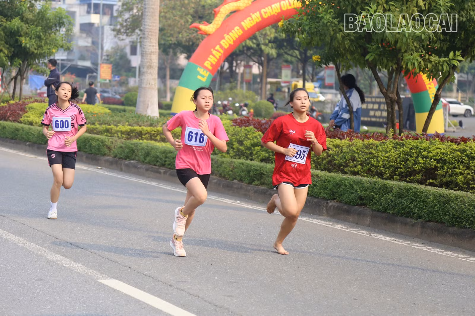 z6433719125936-7484507e1845b96e9fadc7030b357c6d.jpg