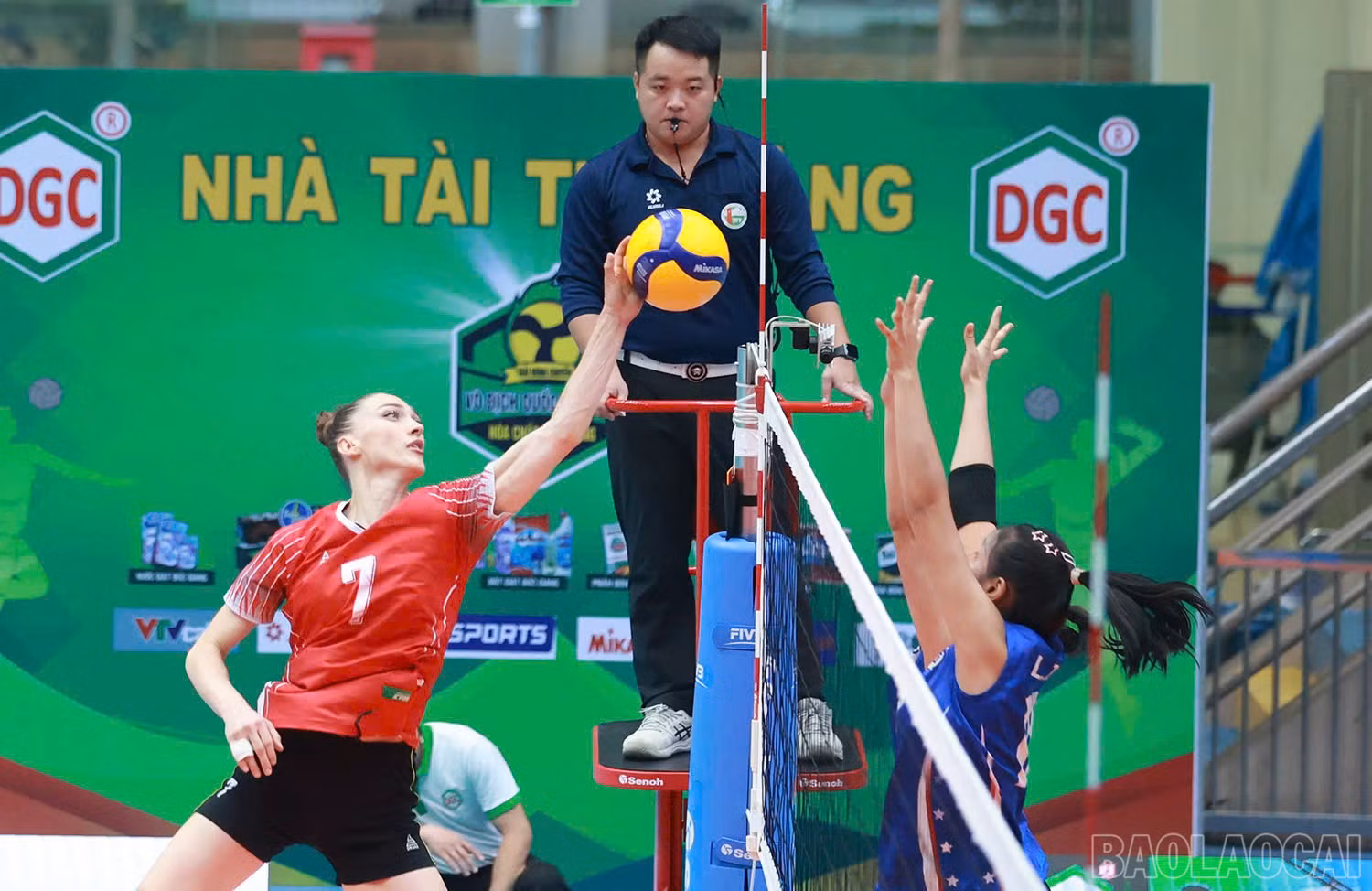 baolaocai-br_z6041853129657-7427cfa0cb626d398f5c1fefd61e0532.jpg