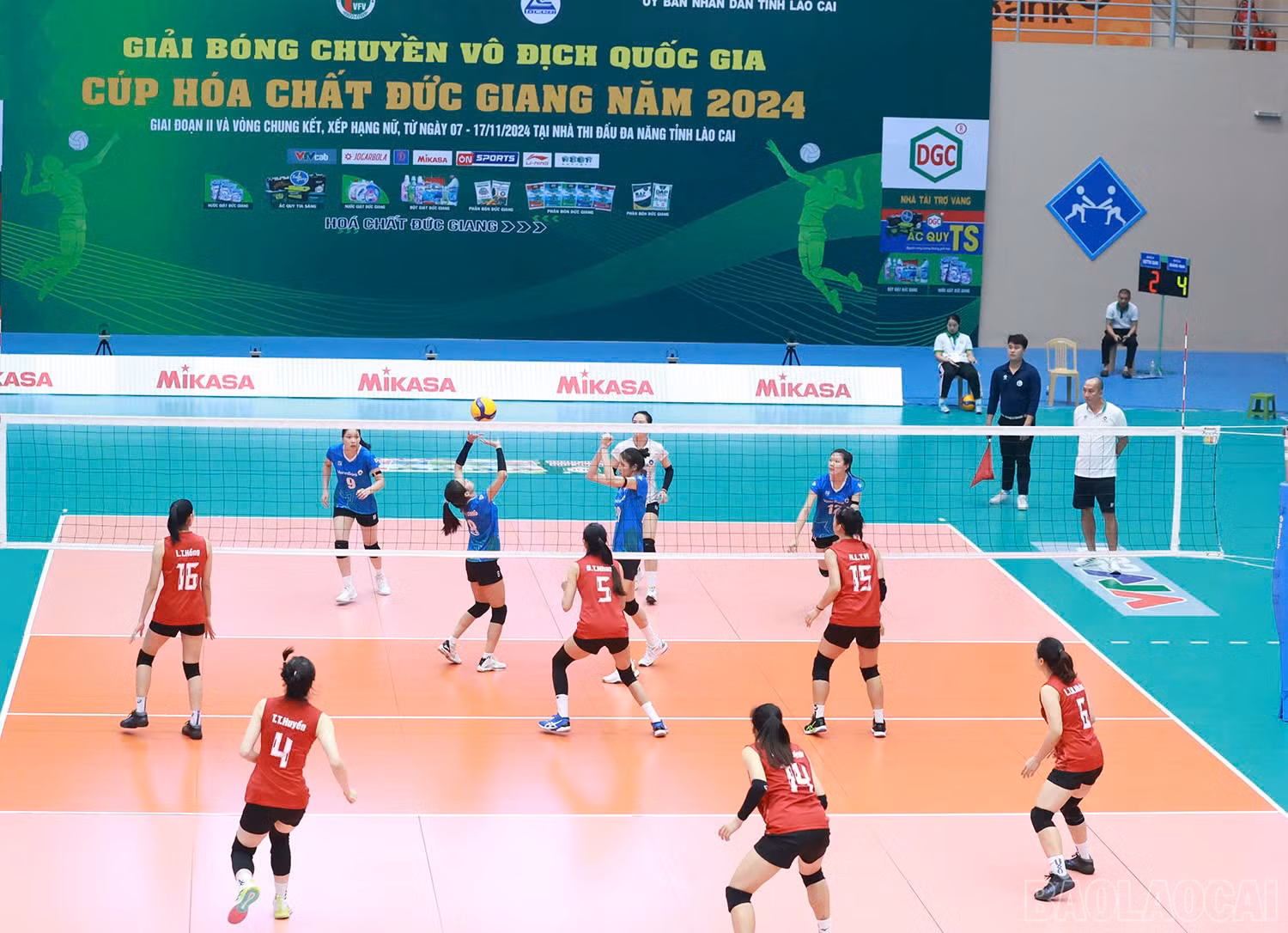 baolaocai-br_z6041463201600-68262c2ad9ad7270637deed97e6875aa.jpg