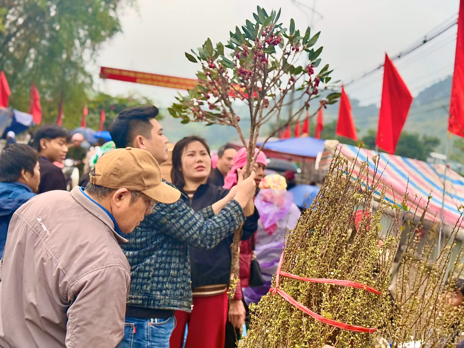 baolaocai-br_z7534290334735-b9df445d1fe03f7b7b3336e1266a02eb.jpg