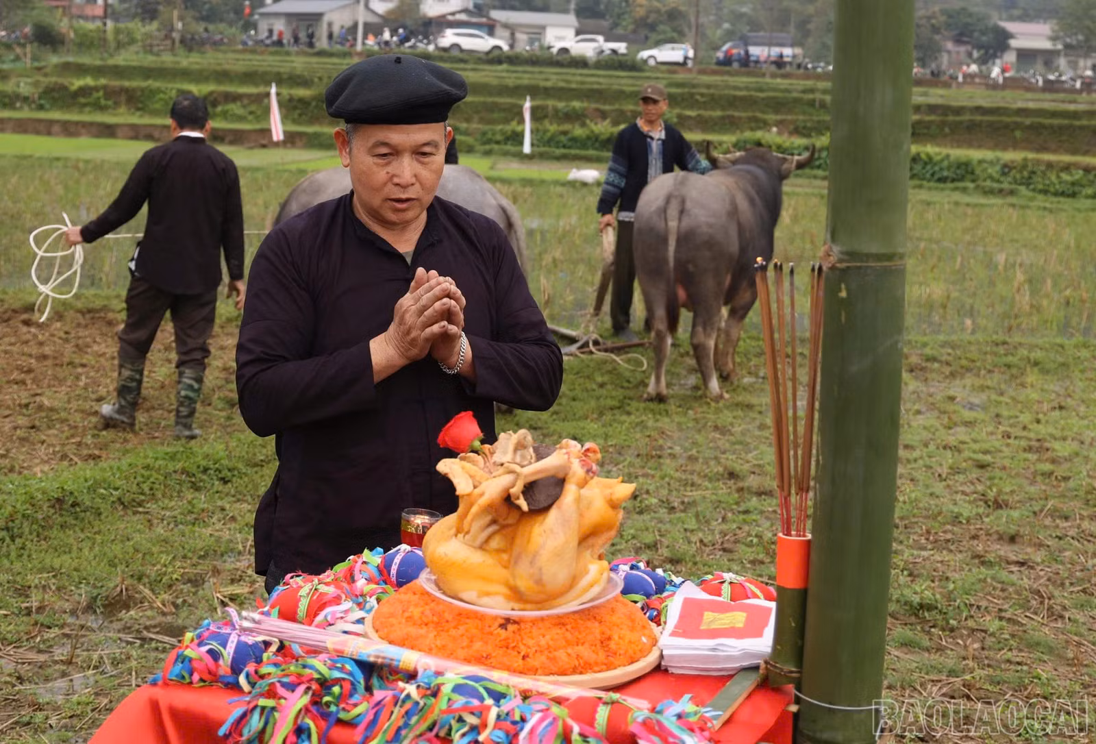baolaocai-br_z7558116897766-716cbb8a2e34ae4c12b152ae404efd01.jpg
