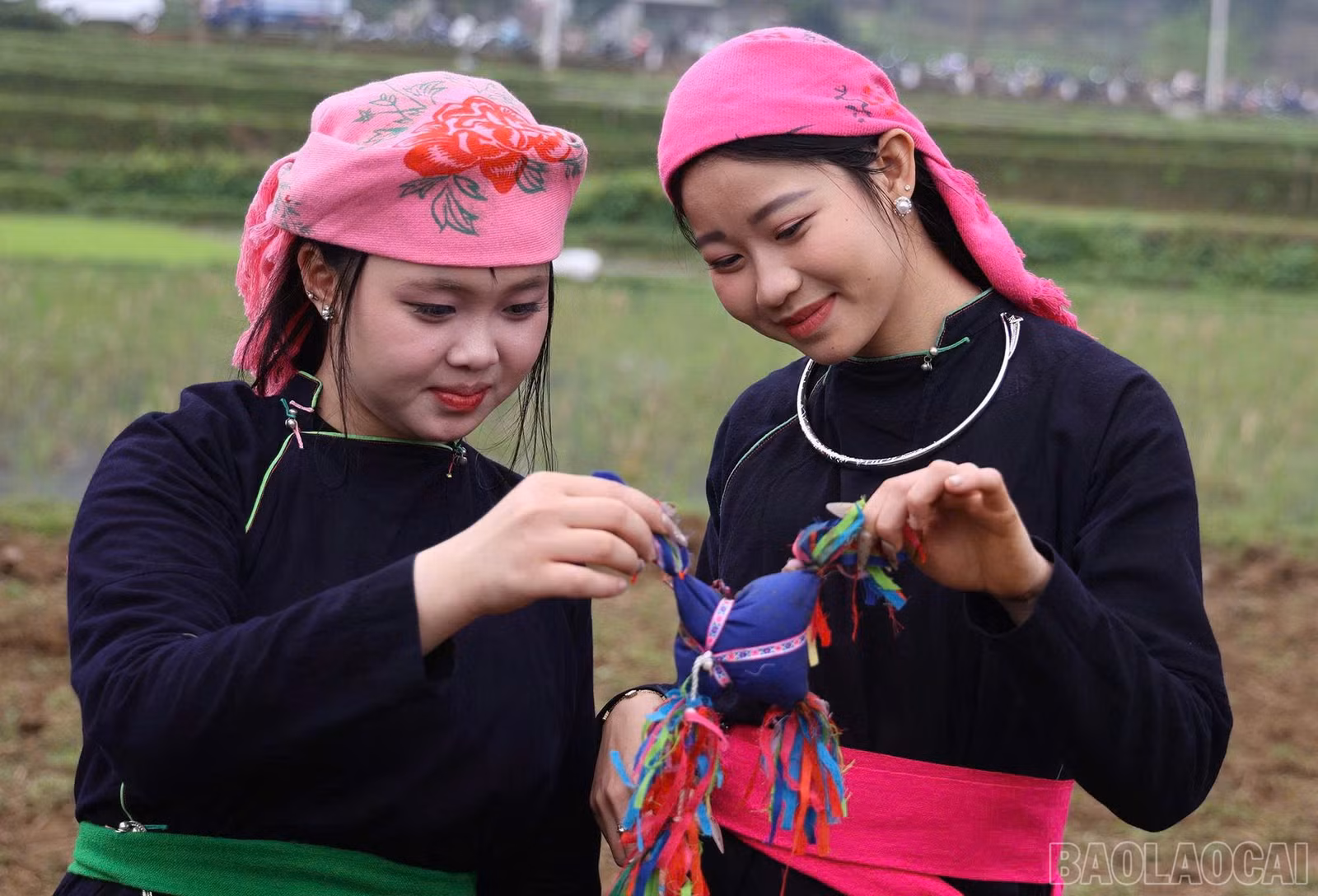 baolaocai-br_z7558116894520-8b7cfba068809957f3208fb265fada87.jpg