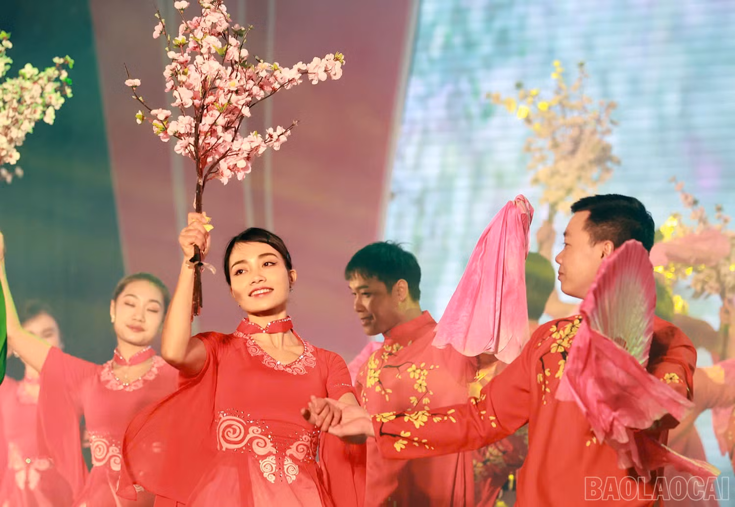 baolaocai-br_z6270685448029-d7e751ecd9d17a43030197b917dad047.jpg