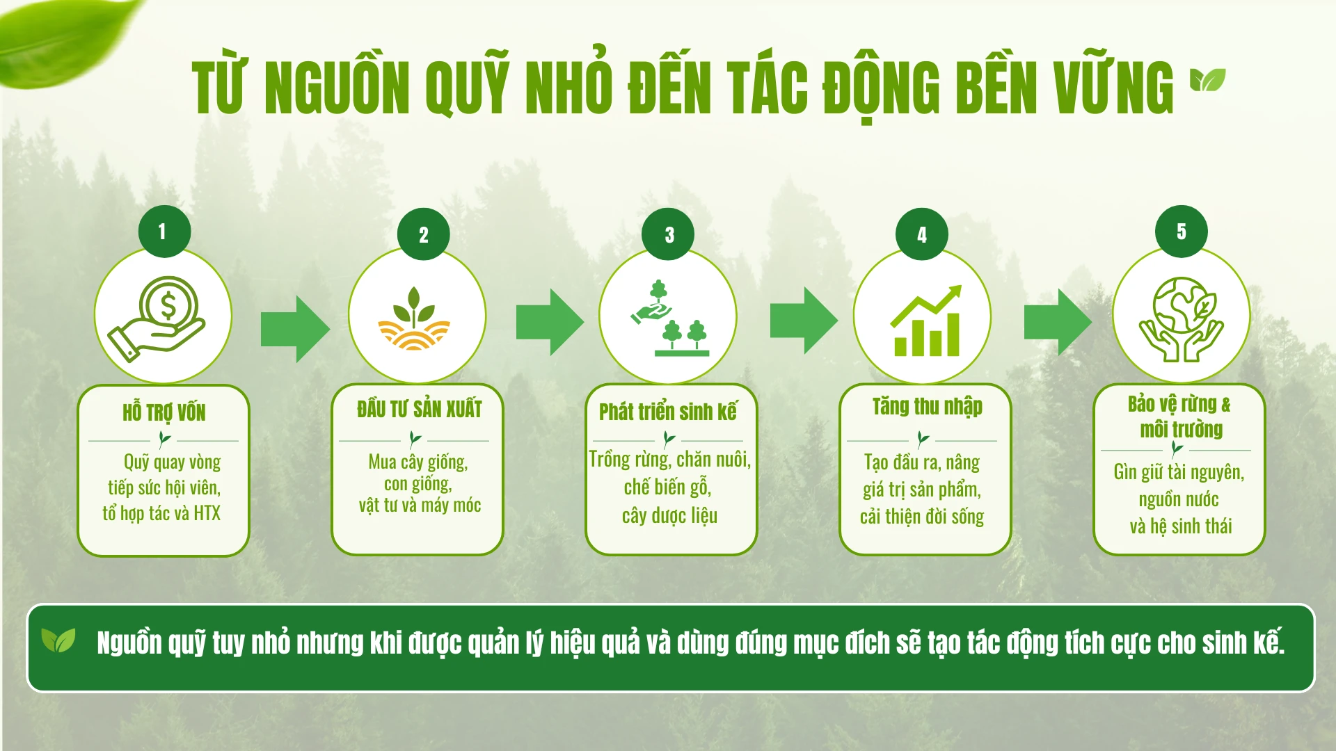 info-sua.png