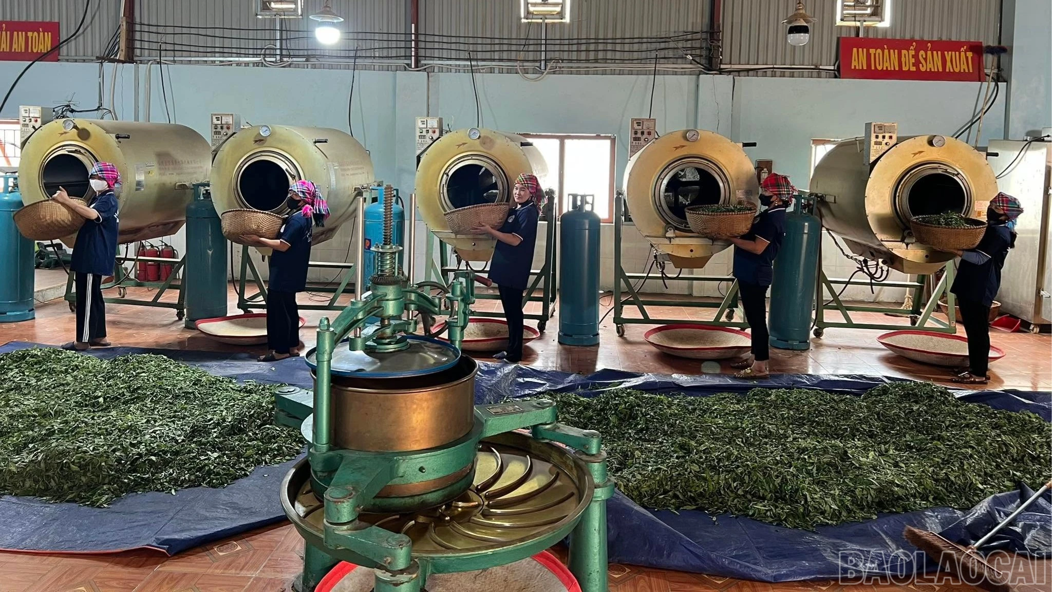 baolaocai-br_che-suoi-giang-5045.jpg