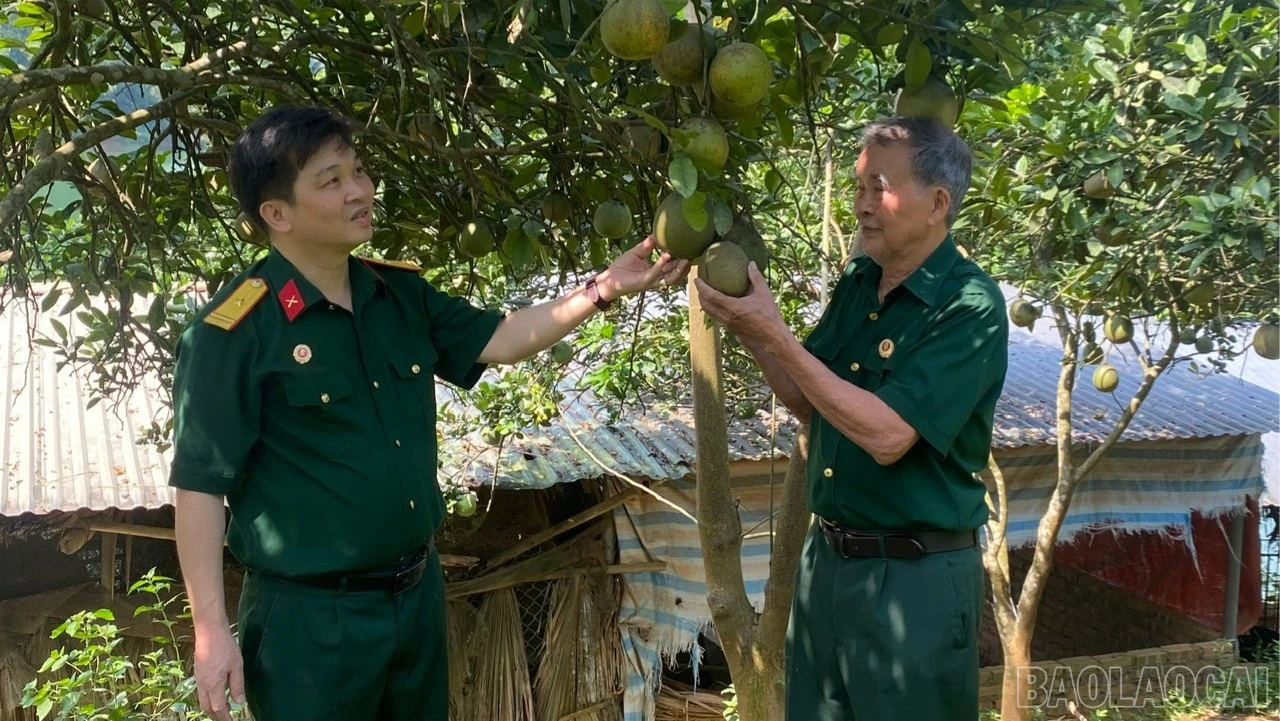 baolaocai-br_anh-ong-quynh-7975-8765.jpg