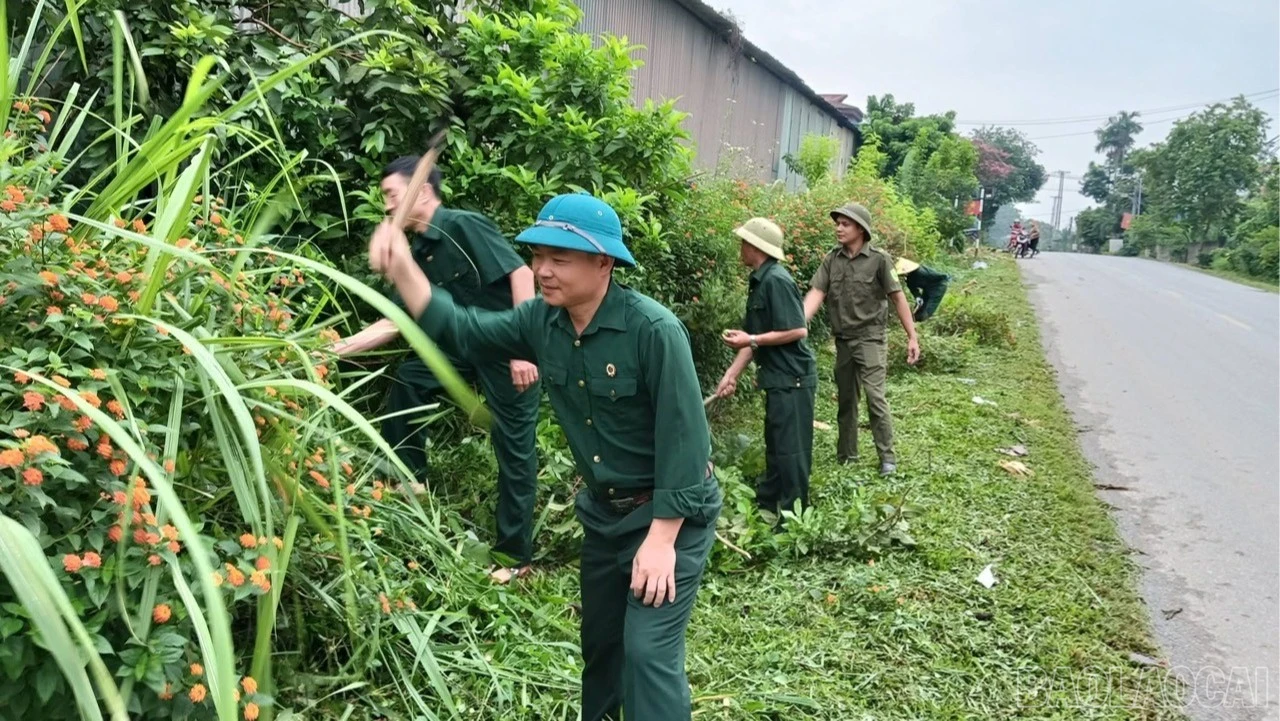 baolaocai-br_anh-ccb-6863.jpg