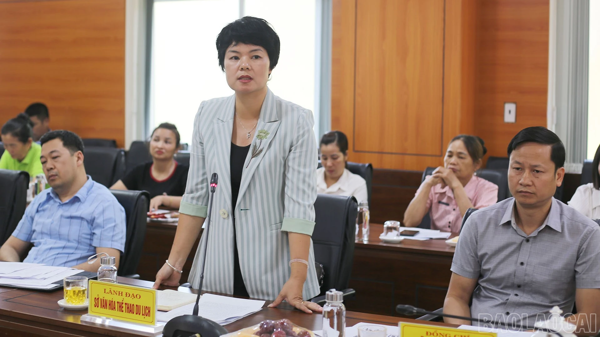 baolaocai-br_img-1617.jpg