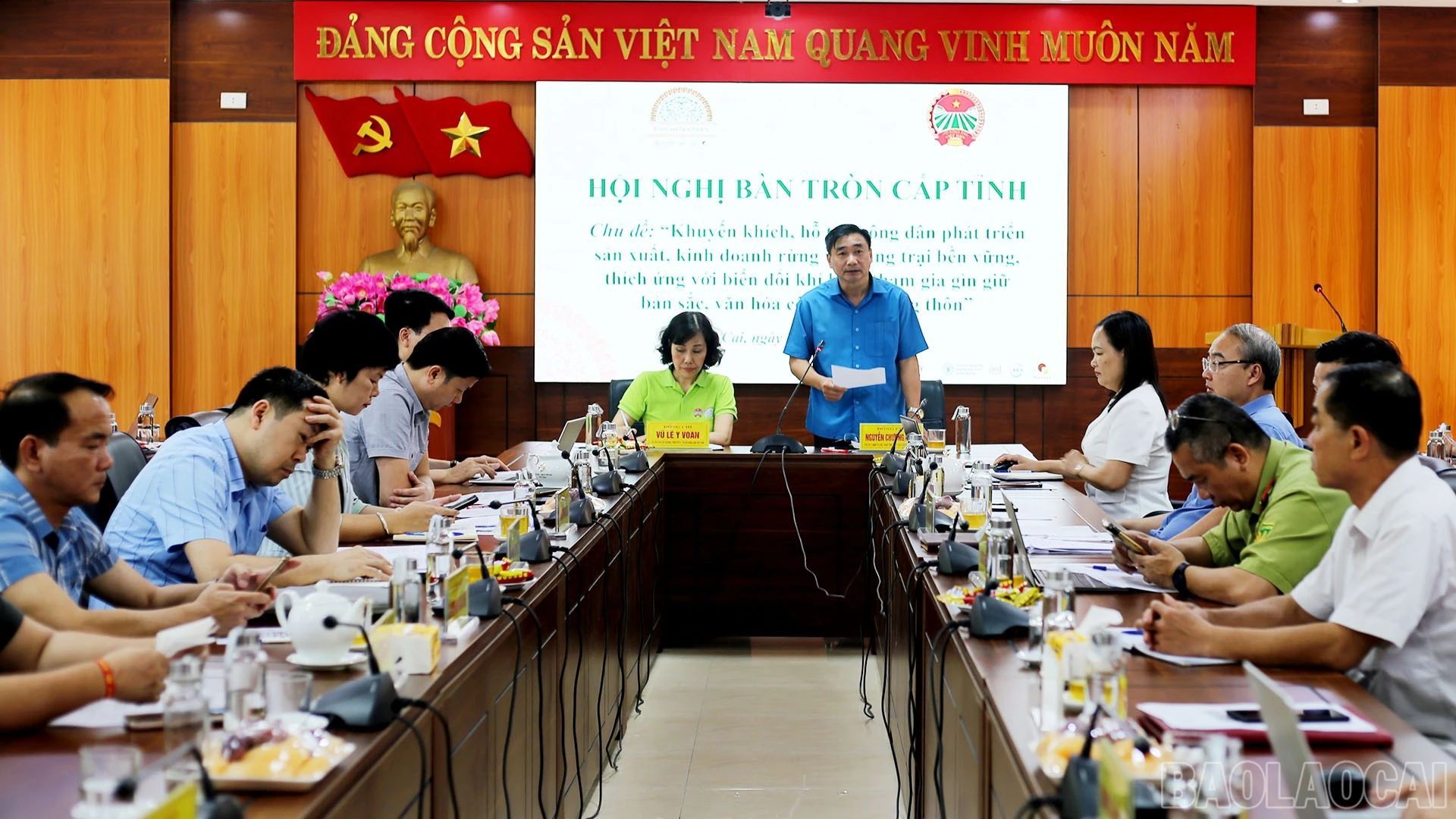 baolaocai-br_img-1597.jpg