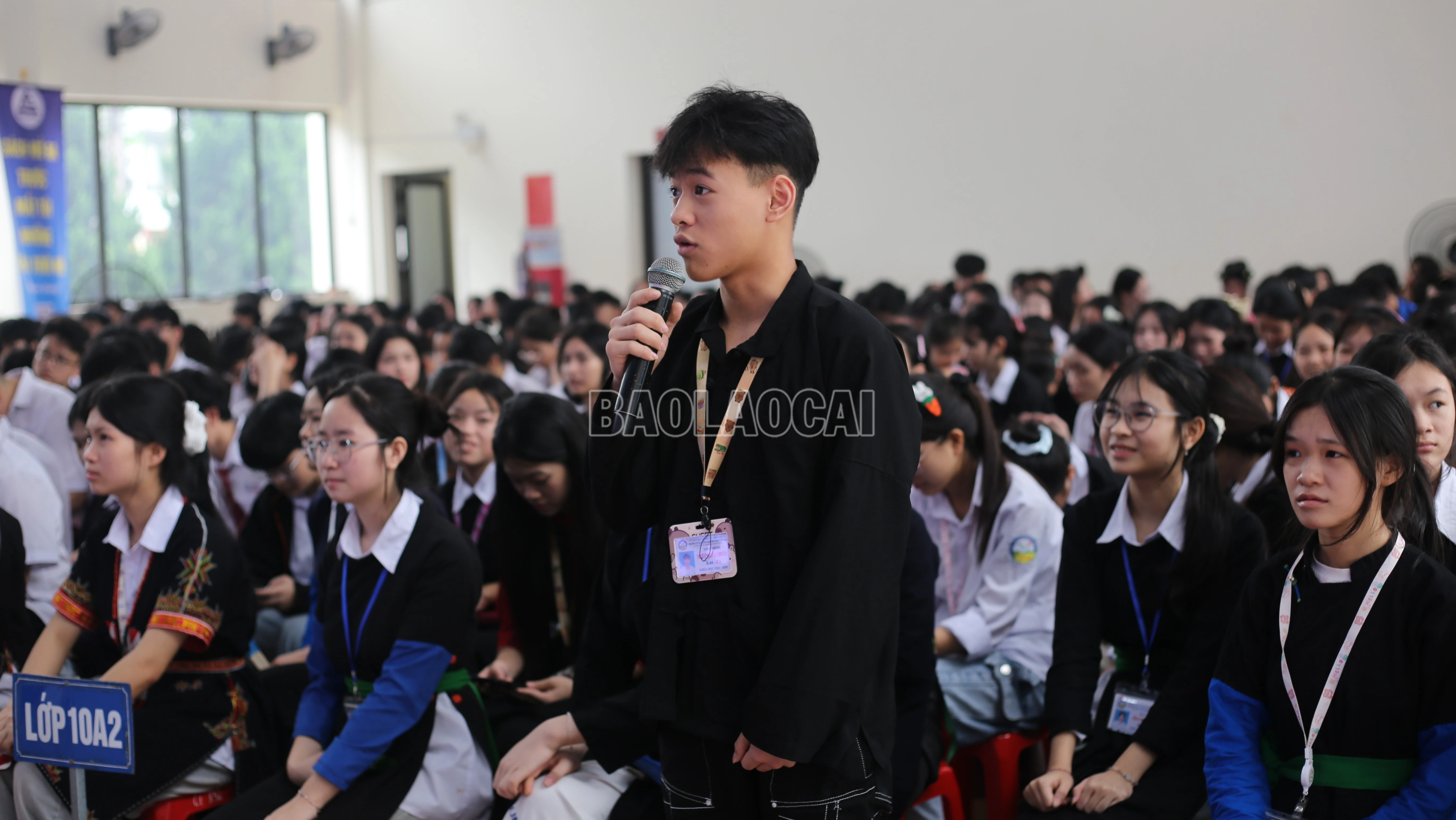 baolaocai-c_img-1210-678.jpg