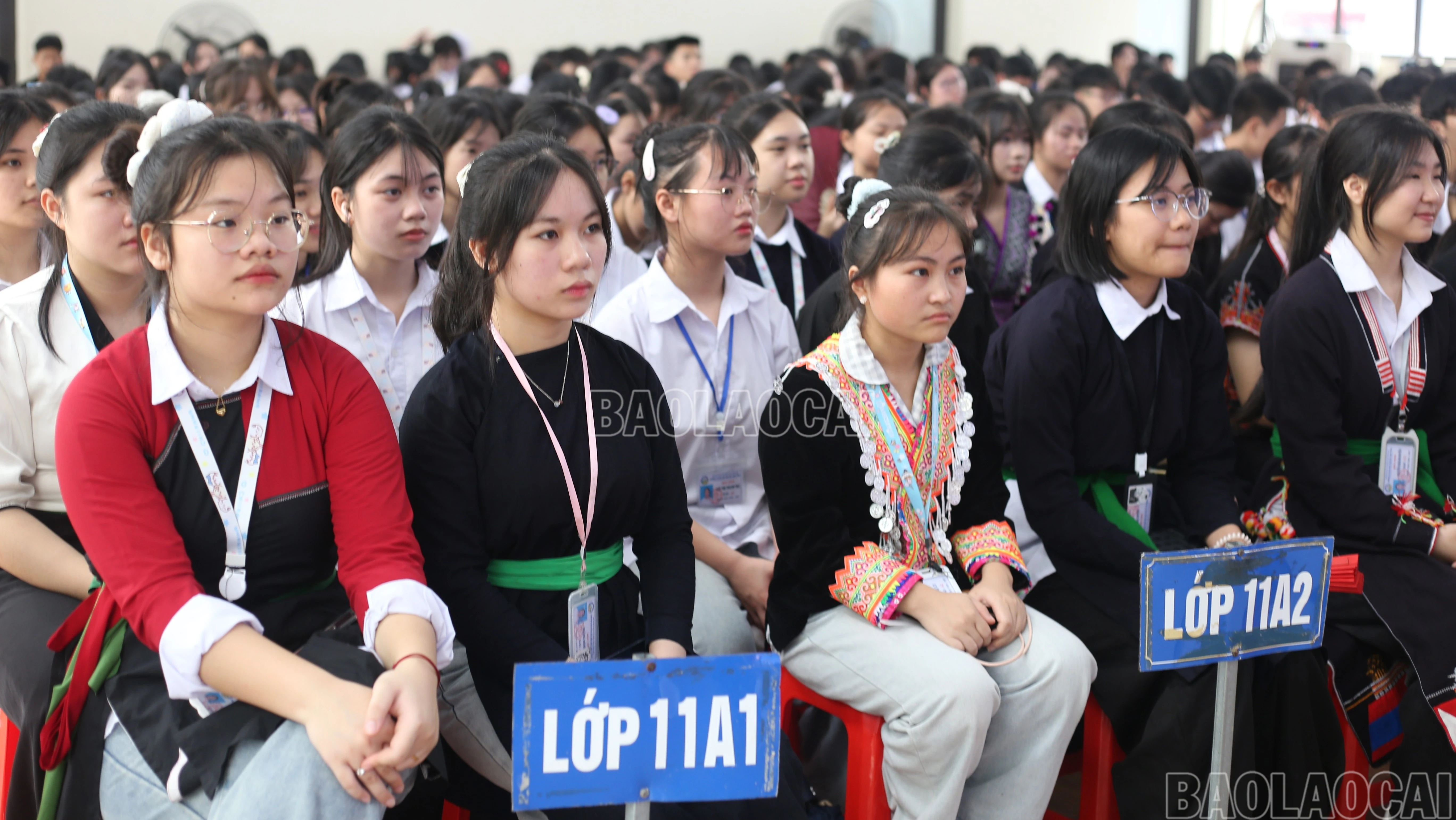 baolaocai-c_br-img-1195.jpg