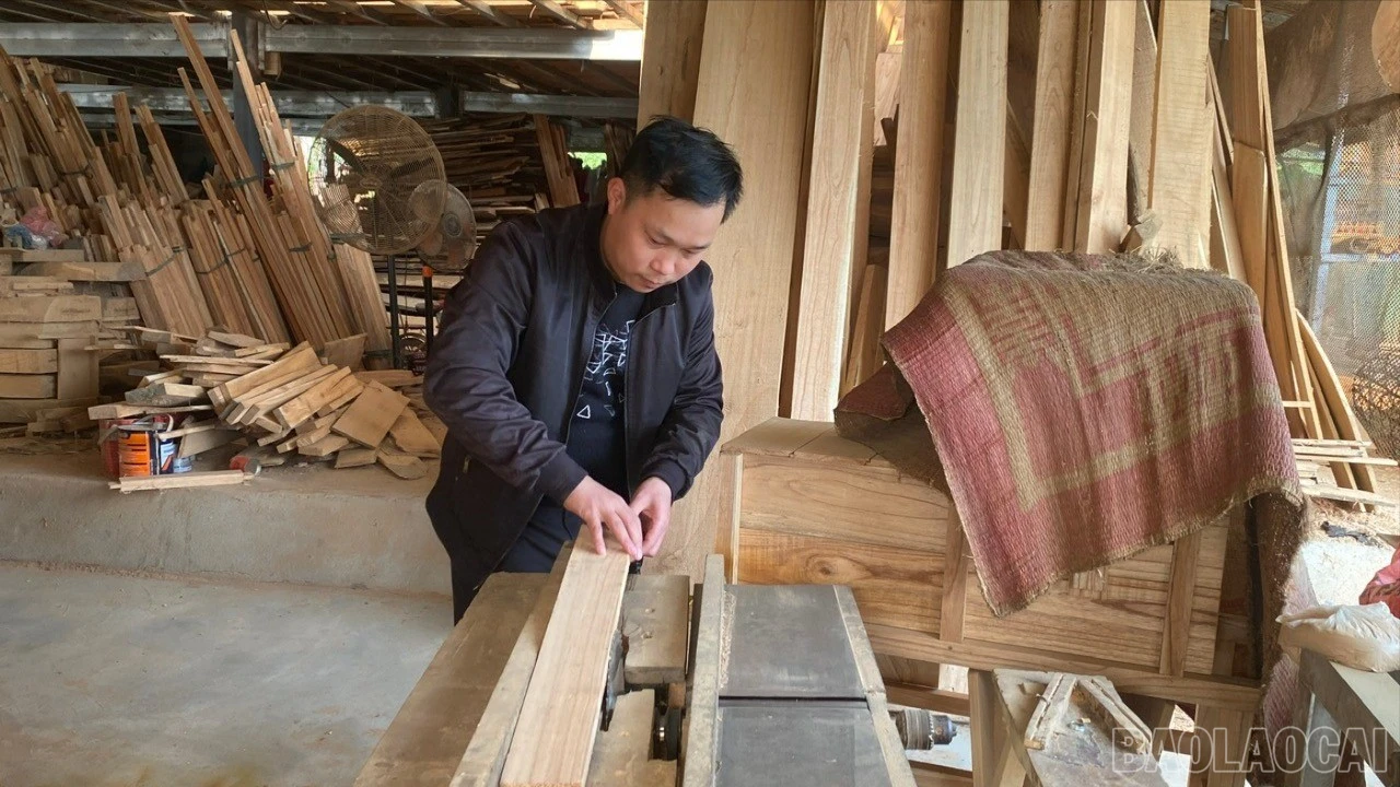 baolaocai-br_anh-4-8165.jpg