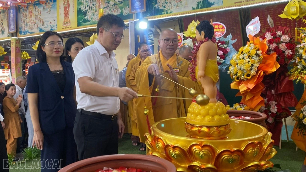 baolaocai-bl_tam-phat-4767.jpg