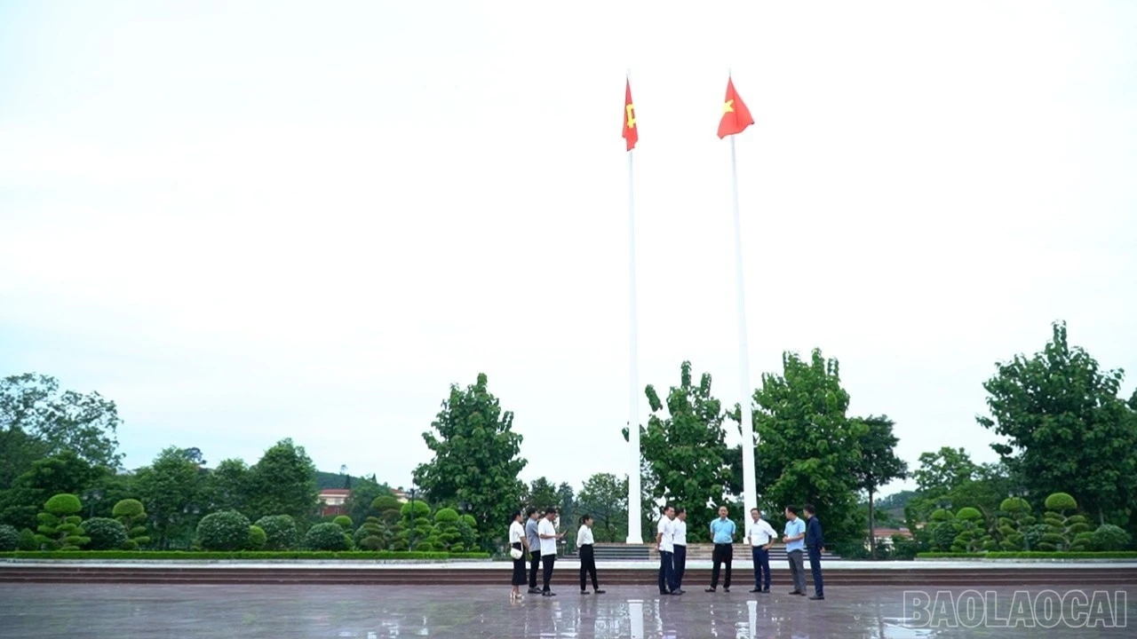 baolaocai-br_khao-sat-yb-3090.jpg