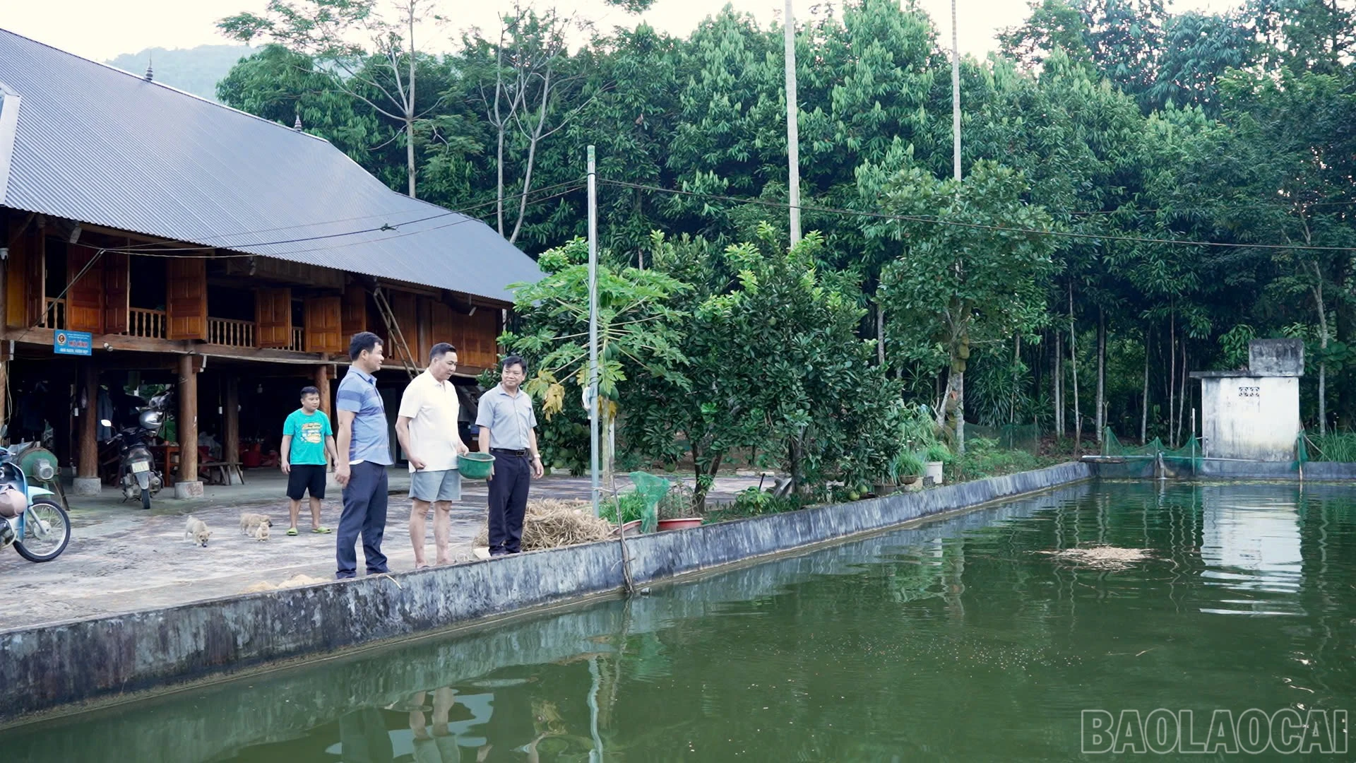 baolaocai-br_nuoi-ca.jpg