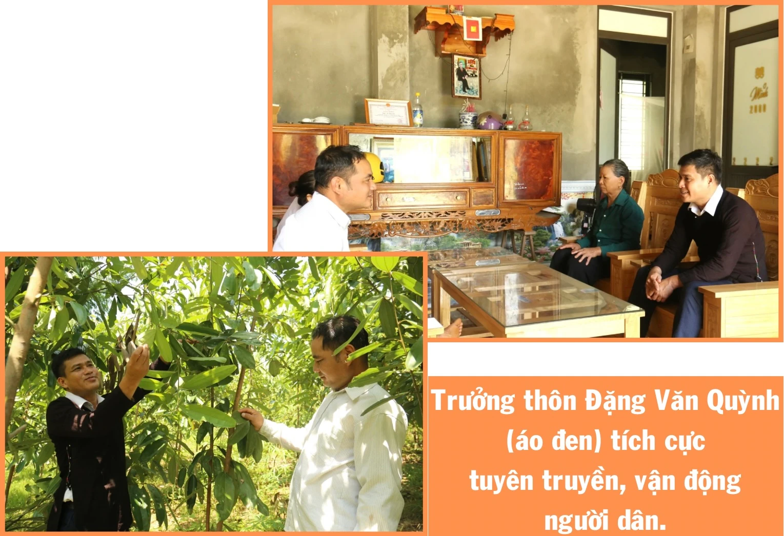Ngô thu nhập bấp bênh trong khi chuối bị bệnh khiến gia đình anh Hồ gặp khó..jpeg