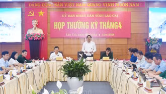 Chủ tịch UBND tỉnh: Nhiều chỉ tiêu về kinh tế chưa đạt như kỳ vọng