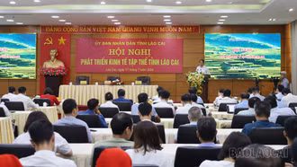 Tìm ra các giải pháp đột phá để tháo gỡ khó khăn cho khu vực kinh tế tập thể