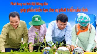 Phát huy vai trò Hội Nông dân góp phần kiến tạo cho sự phát triển của tỉnh 