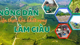 Nông dân hiện thực hóa khát vọng làm giàu