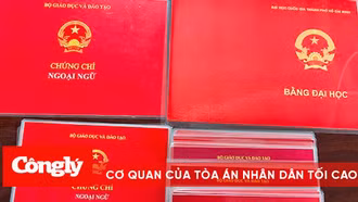 Bắt tạm giam hai đối tượng làm bằng đại học và chứng chỉ giả