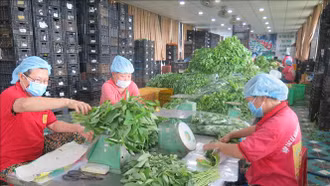 Hoàn thiện cơ chế, chính sách thúc đẩy phát triển kinh tế tập thể, hợp tác xã