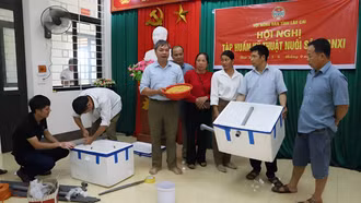 50 hội viên nông dân được tập huấn kỹ thuật nuôi sâu canxi và nuôi giun quế