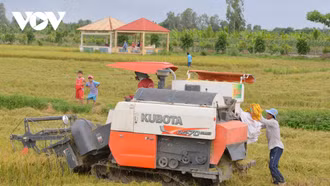 Xuất khẩu gạo của Việt Nam dự báo lập đỉnh 4,5 tỷ USD