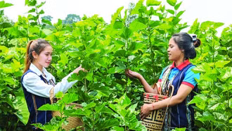 Khát khao đưa tơ lụa Việt Nam xứng tầm thế giới