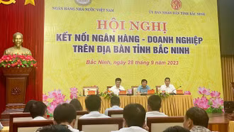 Kịp thời xử lý, tháo gỡ khó khăn về tiếp cận vốn vay ngân hàng