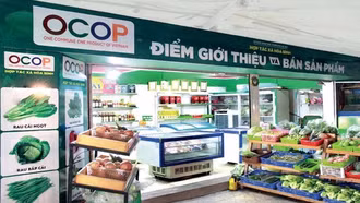 Bảo hộ sở hữu trí tuệ sản phẩm OCOP cần "luồng xanh"
