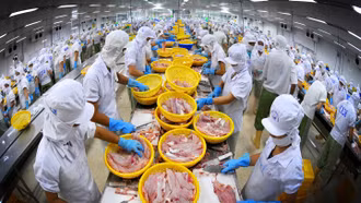 Cơ hội nào cho xuất khẩu thủy sản tăng trưởng trong năm 2024?