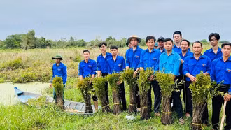 Chỉ thị của Thủ tướng Chính phủ về tổ chức "Tết trồng cây đời đời nhớ ơn Bác Hồ"