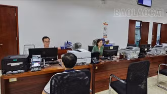 Cải cách hành chính: 837 hồ sơ đăng kí doanh nghiệp được giải quyết trực tuyến toàn trình