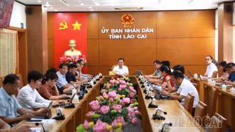 Bàn giải pháp nâng cao chất lượng cung cấp và sử dụng dịch vụ công trực tuyến