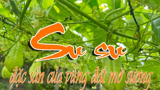 Su su – đặc sản của vùng đất mờ sương