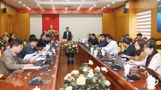 Quyết tâm nâng xếp hạng đánh giá mức độ chuyển đổi số của tỉnh trong năm 2024