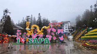 Năm Thìn tản mạn chuyện rồng