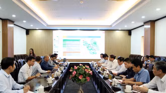 UBND tỉnh làm việc với đại diện Công ty Cổ phần tập đoàn T&T 