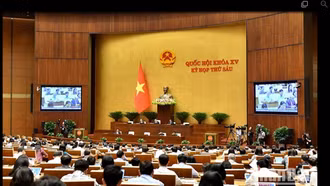 Lá phiếu và trách nhiệm giám sát