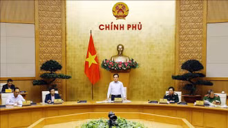 Kiểm tra việc đào tạo, sát hạch cấp Giấy phép lái xe đường bộ