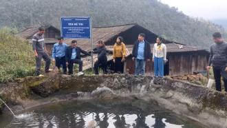 Phó Chủ tịch UBND tỉnh Giàng Thị Dung kiểm tra tiến độ thực hiện đề tài nghiên cứu khoa học và công nghệ