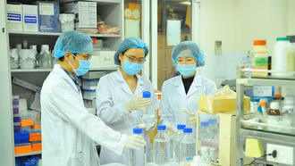 Phê duyệt Chiến lược quốc gia về thu hút, trọng dụng nhân tài