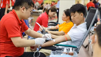 51 tỉnh, thành phố tham gia Hành trình Đỏ 2024