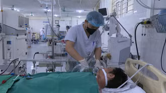 Ăn thịt lợn chết, một người đàn ông rơi vào tình trạng nguy kịch