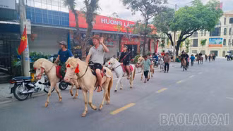 Festival Cao nguyên trắng Bắc Hà sẵn sàng khai hội