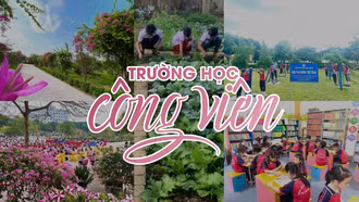 “Trường học công viên”