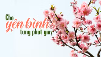 Cho yên bình từng phút giây