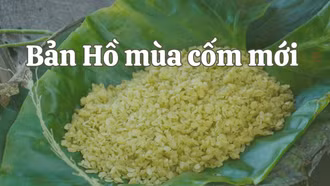 Bản Hồ mùa cốm mới