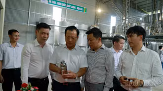 Phó Chủ tịch Thường trực UBND tỉnh Hoàng Quốc Khánh tham quan các cơ sở chế biến nông sản tại Bảo Yên